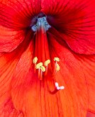 _DSC4472-Bearbeitet_0