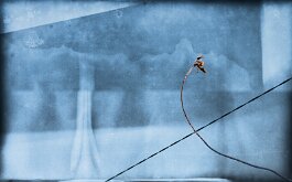 DSC_2782-Bearbeitet-2