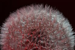 Unbenanntes_Panorama1